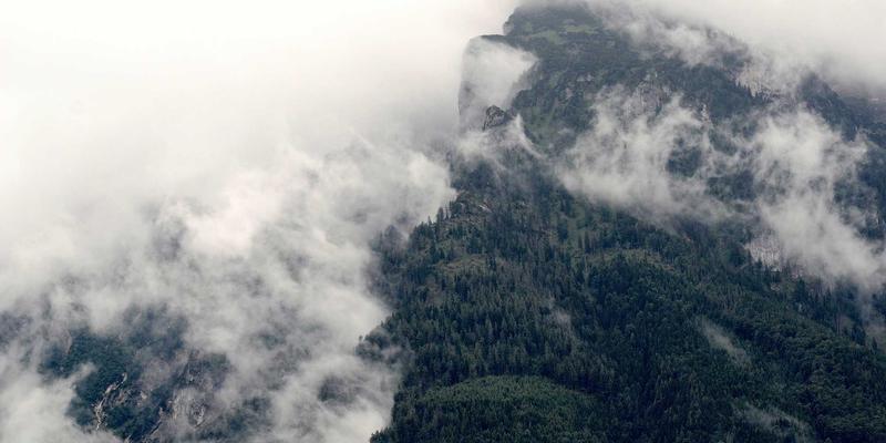 功能开关